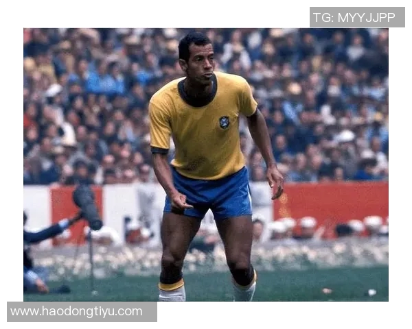 足球最佳后卫评选揭晓谁将成为历史上最伟大的防守者 足球最佳后卫评选揭晓谁将成为历史上最伟大的防守者