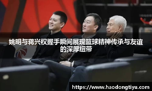 快盈VIII