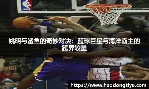 快盈VIII首页