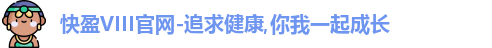 快盈VIII